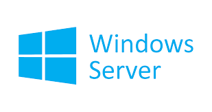 MS Windows Server